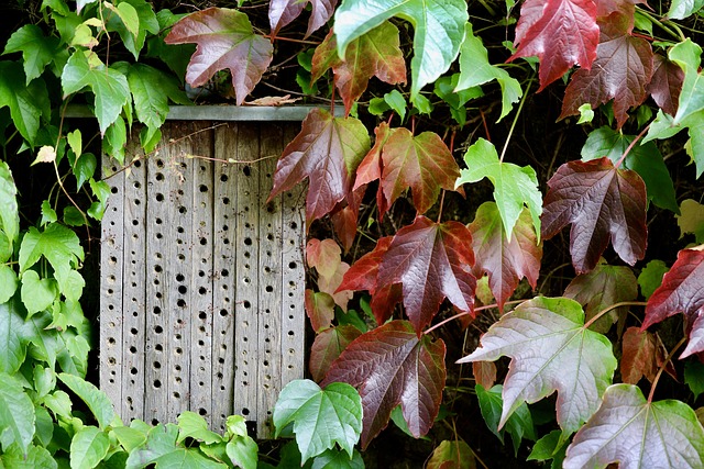 Historien bag hotel nørrevang – fra tradition til moderne komfort